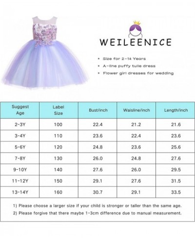 Christmas Girls Flower Dress Lace Rainbow Tulle 3D Embroidery Beading Princess Pageant Wedding Party Dresses $60.89 - Kids' C...