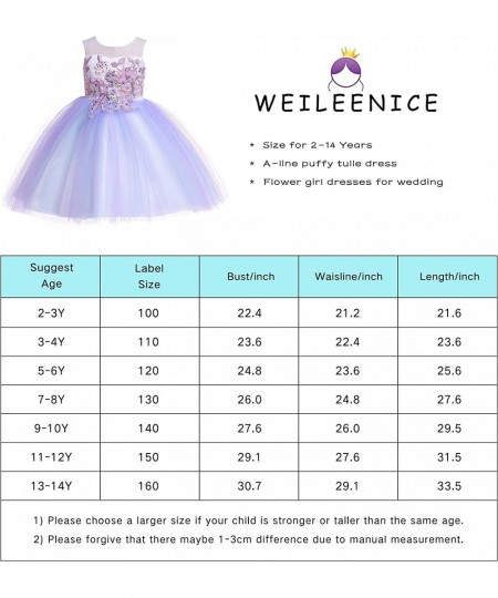 Christmas Girls Flower Dress Lace Rainbow Tulle 3D Embroidery Beading Princess Pageant Wedding Party Dresses $60.89 - Kids' C...