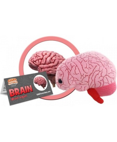 GIANTmicrobes Brain Organ Plush - Adorably Realistic Plush Brain Organ Educational Biology Gift Great Tool for Educators Exce...