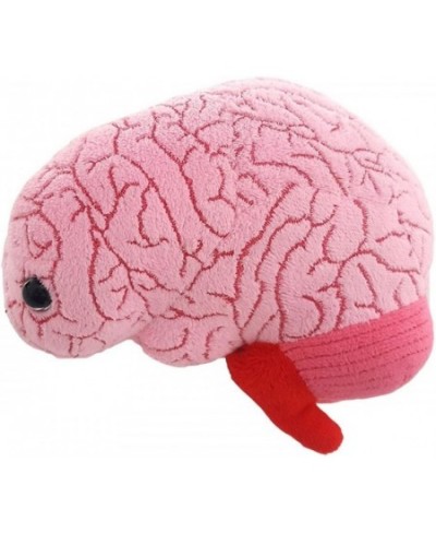 GIANTmicrobes Brain Organ Plush - Adorably Realistic Plush Brain Organ Educational Biology Gift Great Tool for Educators Exce...