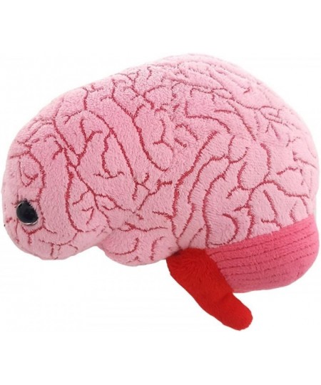 GIANTmicrobes Brain Organ Plush - Adorably Realistic Plush Brain Organ Educational Biology Gift Great Tool for Educators Exce...