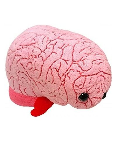 GIANTmicrobes Brain Organ Plush - Adorably Realistic Plush Brain Organ Educational Biology Gift Great Tool for Educators Exce...