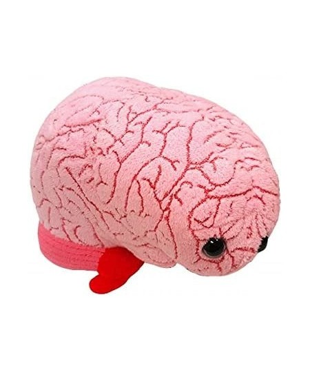 GIANTmicrobes Brain Organ Plush - Adorably Realistic Plush Brain Organ Educational Biology Gift Great Tool for Educators Exce...