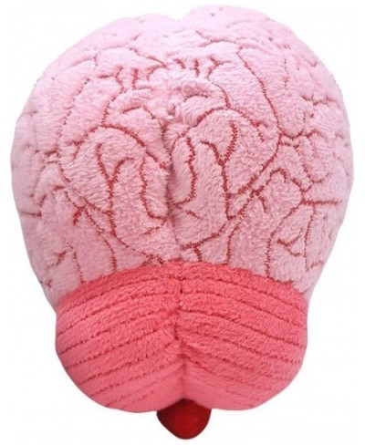 GIANTmicrobes Brain Organ Plush - Adorably Realistic Plush Brain Organ Educational Biology Gift Great Tool for Educators Exce...