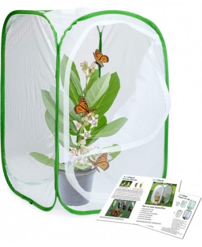 Insect and Butterfly Habitat Cage Terrarium Pop-up 23.6 Inches Tall $26.68 - Habitat Science Kits