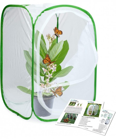 Insect and Butterfly Habitat Cage Terrarium Pop-up 23.6 Inches Tall $26.68 - Habitat Science Kits