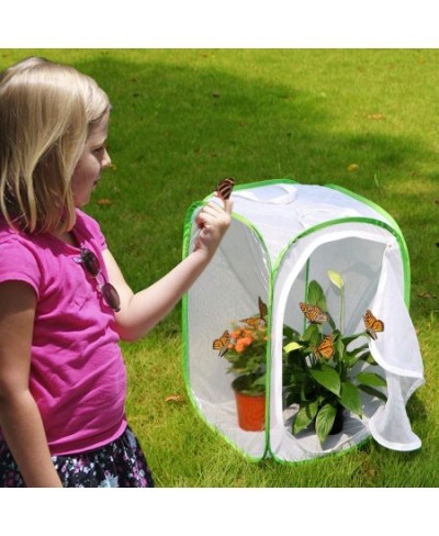 Insect and Butterfly Habitat Cage Terrarium Pop-up 23.6 Inches Tall $26.68 - Habitat Science Kits