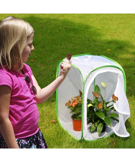 Insect and Butterfly Habitat Cage Terrarium Pop-up 23.6 Inches Tall $26.68 - Habitat Science Kits