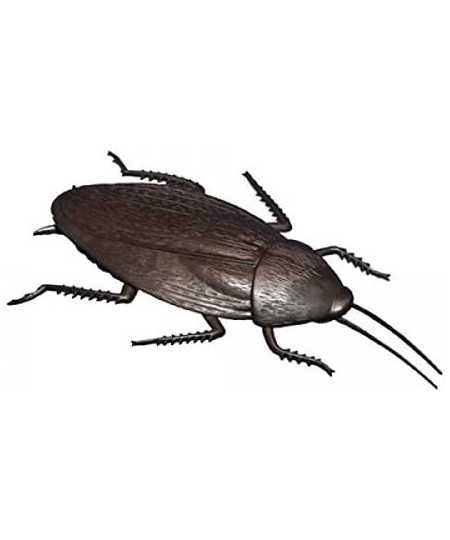 Jumbo Giant Fake Cockroach Prank-gag $13.65 - Gags & Practical Joke Toys