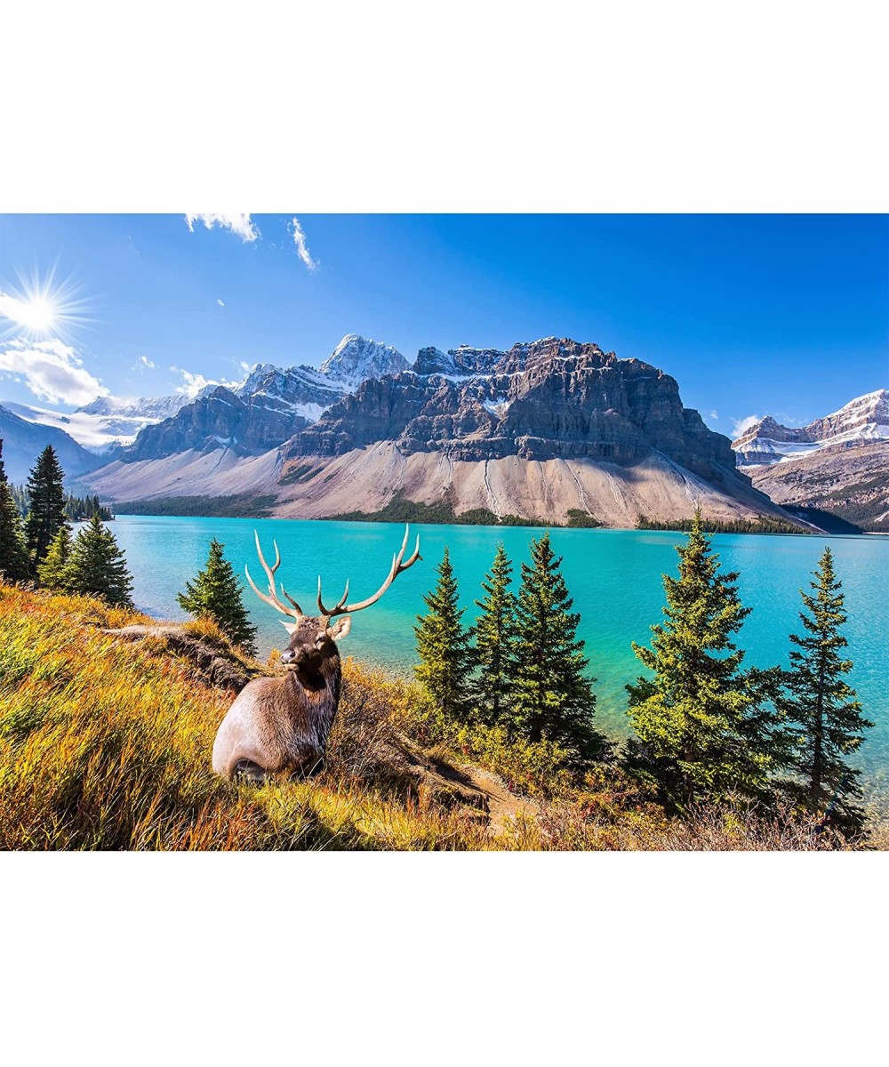 Jigsaw Puzzles for Adults 1000 Piece Puzzle for Adults 1000 Pieces Puzzle 1000 Pieces-Canadian Rocky Mountain Lake $24.25 - J...