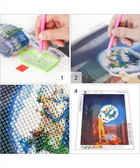 2 Packs Diamond Painting Kits DIY Diamond Art Painting Kits for Kids and Adults Beginners - 12 x 16 inch - Bird and Accompany...