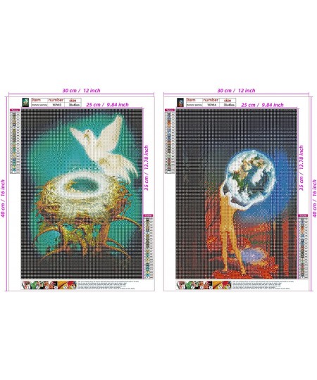 2 Packs Diamond Painting Kits DIY Diamond Art Painting Kits for Kids and Adults Beginners - 12 x 16 inch - Bird and Accompany...