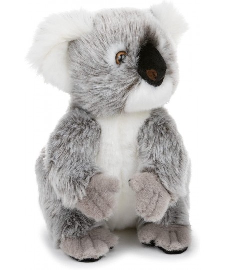 10 Inch Plush Koala Stuffed Animal Set with National Geographic Readers Koalas Level 1 Book $45.40 - Stuffed Animals & Teddy ...