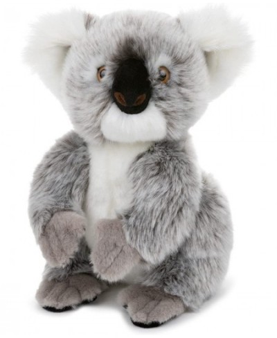 10 Inch Plush Koala Stuffed Animal Set with National Geographic Readers Koalas Level 1 Book $45.40 - Stuffed Animals & Teddy ...