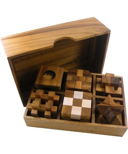 6 Wooden Puzzle Gift Set in A Wood Box - 3D Unique IQ Puzzles $52.03 - Brain Teaser Puzzles