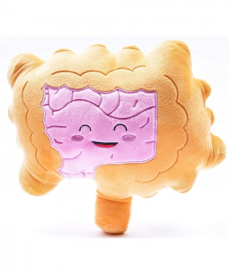 Intestine Plush- Intestined for Greatness-Colon/Intestine Plush Organ toy for IBS Colitis Crohns and GI Support Plush/ Health...