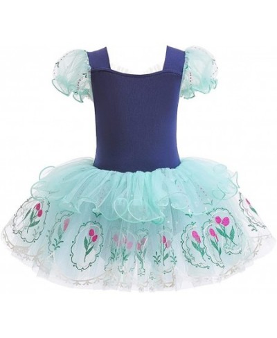 Baby Girls Princess Ballet Dress Short Sleeve Leotards Skirted Tutu Dancewear Halloween Christmas Party Fancy Costume $45.40 ...