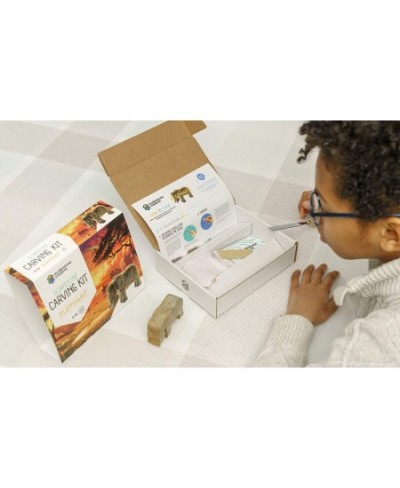 Lion Soapstone Sculpture Carving DIY Arts and Crafts Kit for Kids Adults $58.56 - Kids' Drawing & Writing Boards