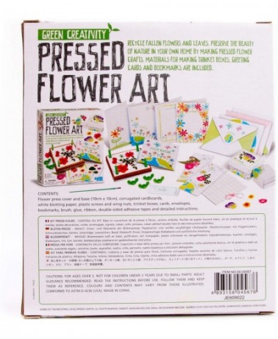 Toysmith: Green Creativity Pressed Flower Art Kit Recycle Flowers Art & Crafts DIY Kit Challenge Your Child's Imagination For...