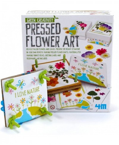 Toysmith: Green Creativity Pressed Flower Art Kit Recycle Flowers Art & Crafts DIY Kit Challenge Your Child's Imagination For...