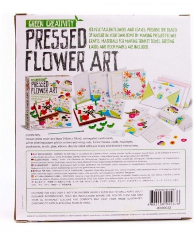 Toysmith: Green Creativity Pressed Flower Art Kit Recycle Flowers Art & Crafts DIY Kit Challenge Your Child's Imagination For...