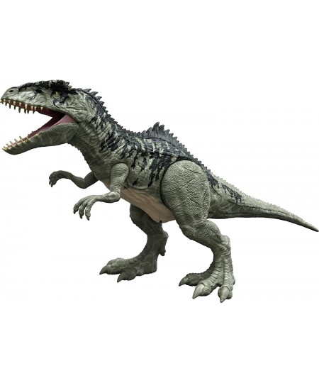 Jurassic World Dominion Super Colossal Giganotosaurus Action Figure with Eating Feature Extra Large Toy Dinosaur at 39in Long...