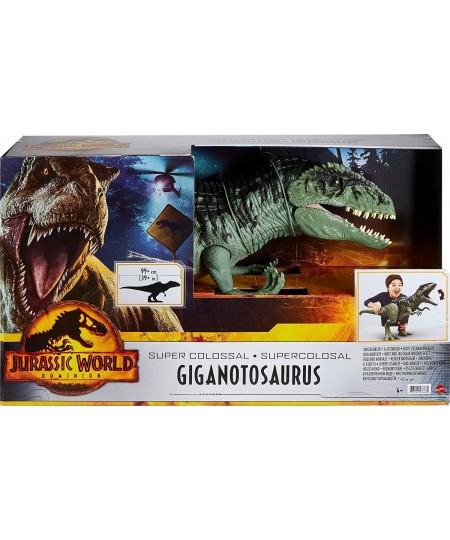 Jurassic World Dominion Super Colossal Giganotosaurus Action Figure with Eating Feature Extra Large Toy Dinosaur at 39in Long...