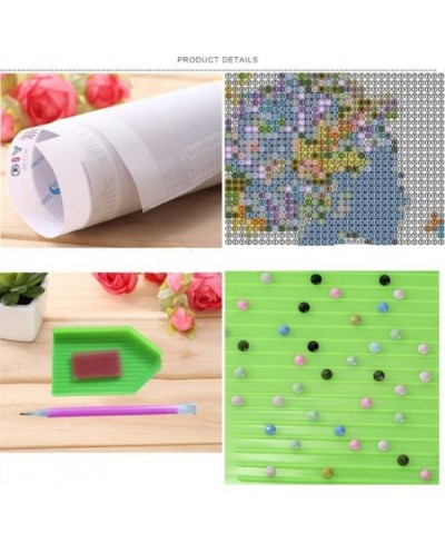 Full Drill 5d Diamond Painting Kits Cross Stitch Craft Kit New DIY Kits for Kids Adults Paint by Number Kits (Cat 30x45cm Rou...