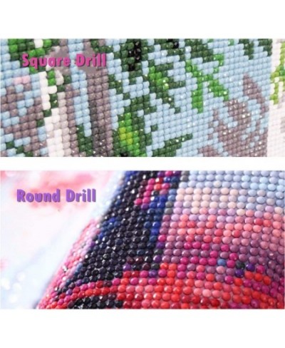 Full Drill 5d Diamond Painting Kits Cross Stitch Craft Kit New DIY Kits for Kids Adults Paint by Number Kits (Cat 30x45cm Rou...