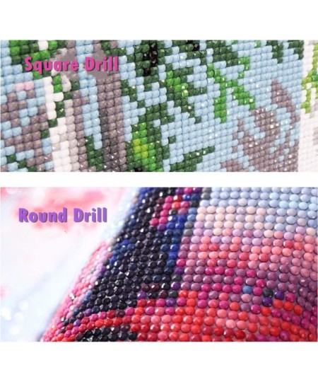 Full Drill 5d Diamond Painting Kits Cross Stitch Craft Kit New DIY Kits for Kids Adults Paint by Number Kits (Cat 30x45cm Rou...