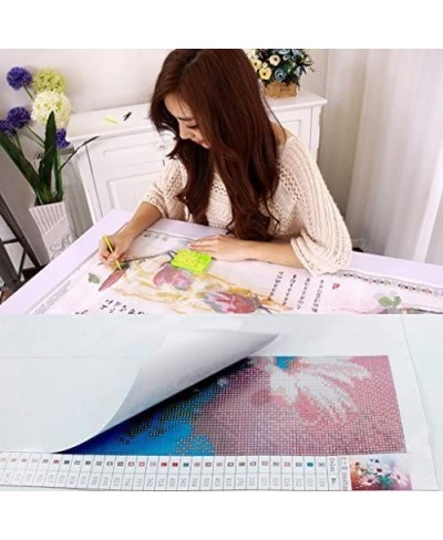 Full Drill 5d Diamond Painting Kits Cross Stitch Craft Kit New DIY Kits for Kids Adults Paint by Number Kits (Cat 30x45cm Rou...