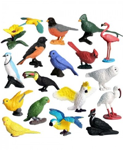 Bird Figurines 17pcs Realistic Parrots Conures Bird Toy for Cupcake Toppers Learning Educational Toys Birthday Gift for Kids ...