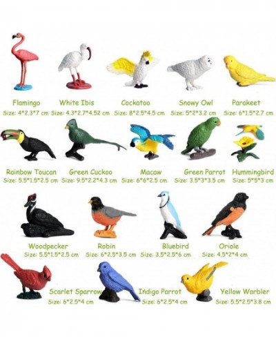 Bird Figurines 17pcs Realistic Parrots Conures Bird Toy for Cupcake Toppers Learning Educational Toys Birthday Gift for Kids ...