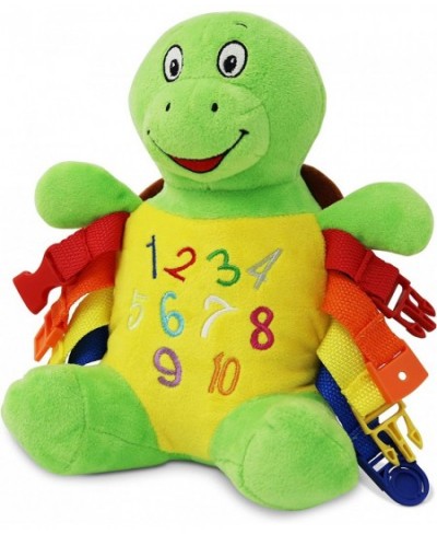 Bucky Turtle - Learning Activity Toy - Develop Motor Skills and Problem Solving - Counting and Color Recognition - Easy Trave...