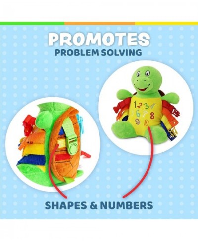 Bucky Turtle - Learning Activity Toy - Develop Motor Skills and Problem Solving - Counting and Color Recognition - Easy Trave...