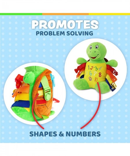 Bucky Turtle - Learning Activity Toy - Develop Motor Skills and Problem Solving - Counting and Color Recognition - Easy Trave...