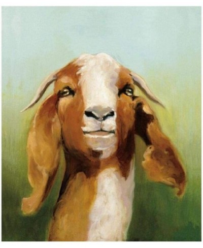 Kids Paint by Numbers for Kids Ages 8-12 Goat Sheep Acrylic Paintworks for Beginners and Experienced Hobby Painters Gift for ...