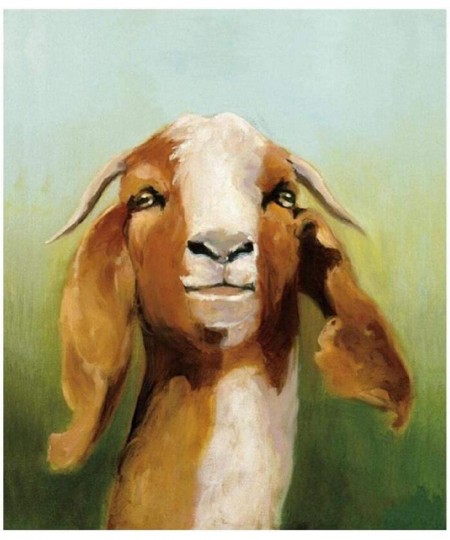 Kids Paint by Numbers for Kids Ages 8-12 Goat Sheep Acrylic Paintworks for Beginners and Experienced Hobby Painters Gift for ...