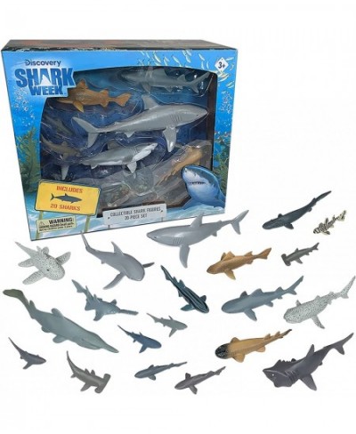 Discovery - 20 Pieces Premium Collectable Shark Toy Playset Great White Shark Mako Hammerhead Goblin and More Hand Painted De...