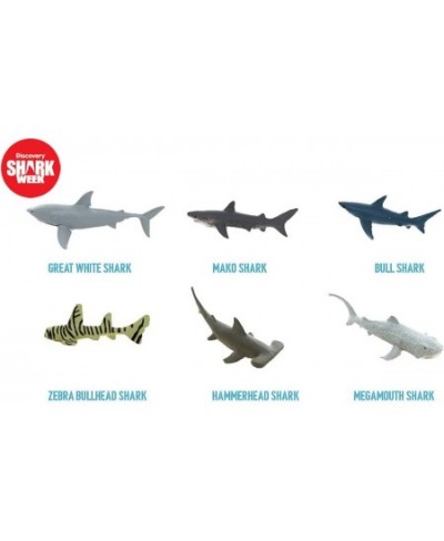 Discovery - 20 Pieces Premium Collectable Shark Toy Playset Great White Shark Mako Hammerhead Goblin and More Hand Painted De...