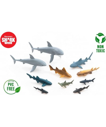 Discovery - 20 Pieces Premium Collectable Shark Toy Playset Great White Shark Mako Hammerhead Goblin and More Hand Painted De...