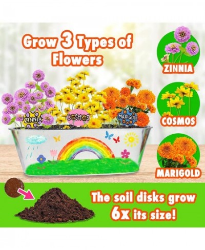 Miracle GRO My First Flower Growing Kit - Indoor Kids Garden Set w/ 3 Flower Seeds Planter Paint Soil - Birthday Gifts for Bo...