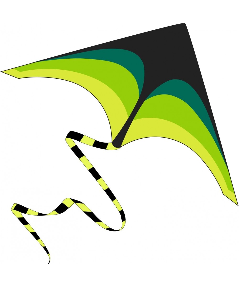 Green Kite - Beautiful and Easy Flyer Kite for Children and Adult with Long Colorful Tail String Line Accessories Easy to Soa...