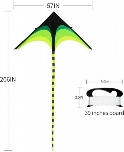 Green Kite - Beautiful and Easy Flyer Kite for Children and Adult with Long Colorful Tail String Line Accessories Easy to Soa...