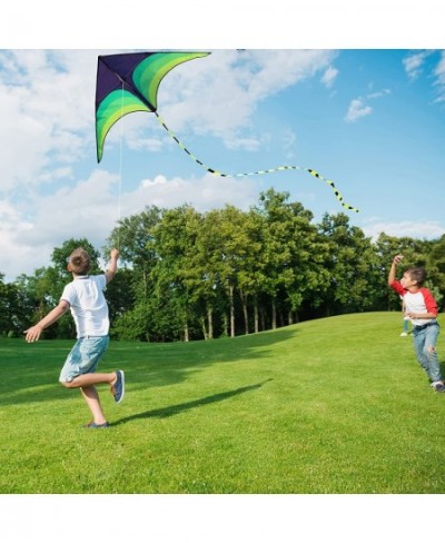 Green Kite - Beautiful and Easy Flyer Kite for Children and Adult with Long Colorful Tail String Line Accessories Easy to Soa...