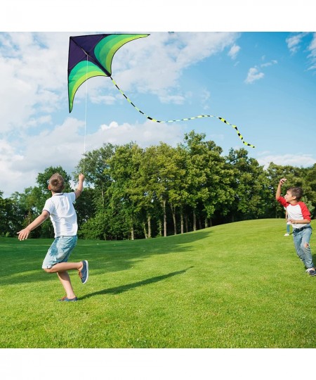 Green Kite - Beautiful and Easy Flyer Kite for Children and Adult with Long Colorful Tail String Line Accessories Easy to Soa...