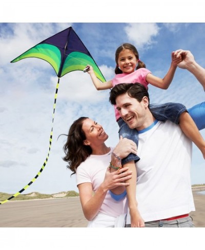 Green Kite - Beautiful and Easy Flyer Kite for Children and Adult with Long Colorful Tail String Line Accessories Easy to Soa...