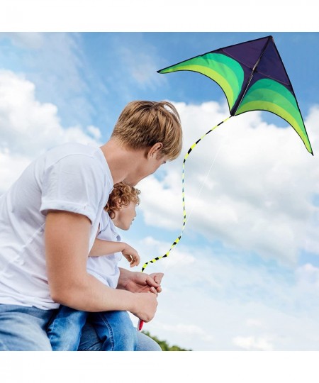 Green Kite - Beautiful and Easy Flyer Kite for Children and Adult with Long Colorful Tail String Line Accessories Easy to Soa...