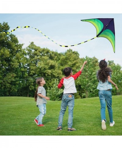 Green Kite - Beautiful and Easy Flyer Kite for Children and Adult with Long Colorful Tail String Line Accessories Easy to Soa...