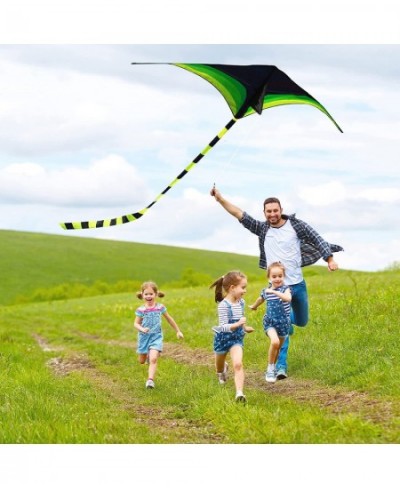 Green Kite - Beautiful and Easy Flyer Kite for Children and Adult with Long Colorful Tail String Line Accessories Easy to Soa...